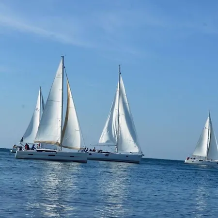 Petar * Pula
